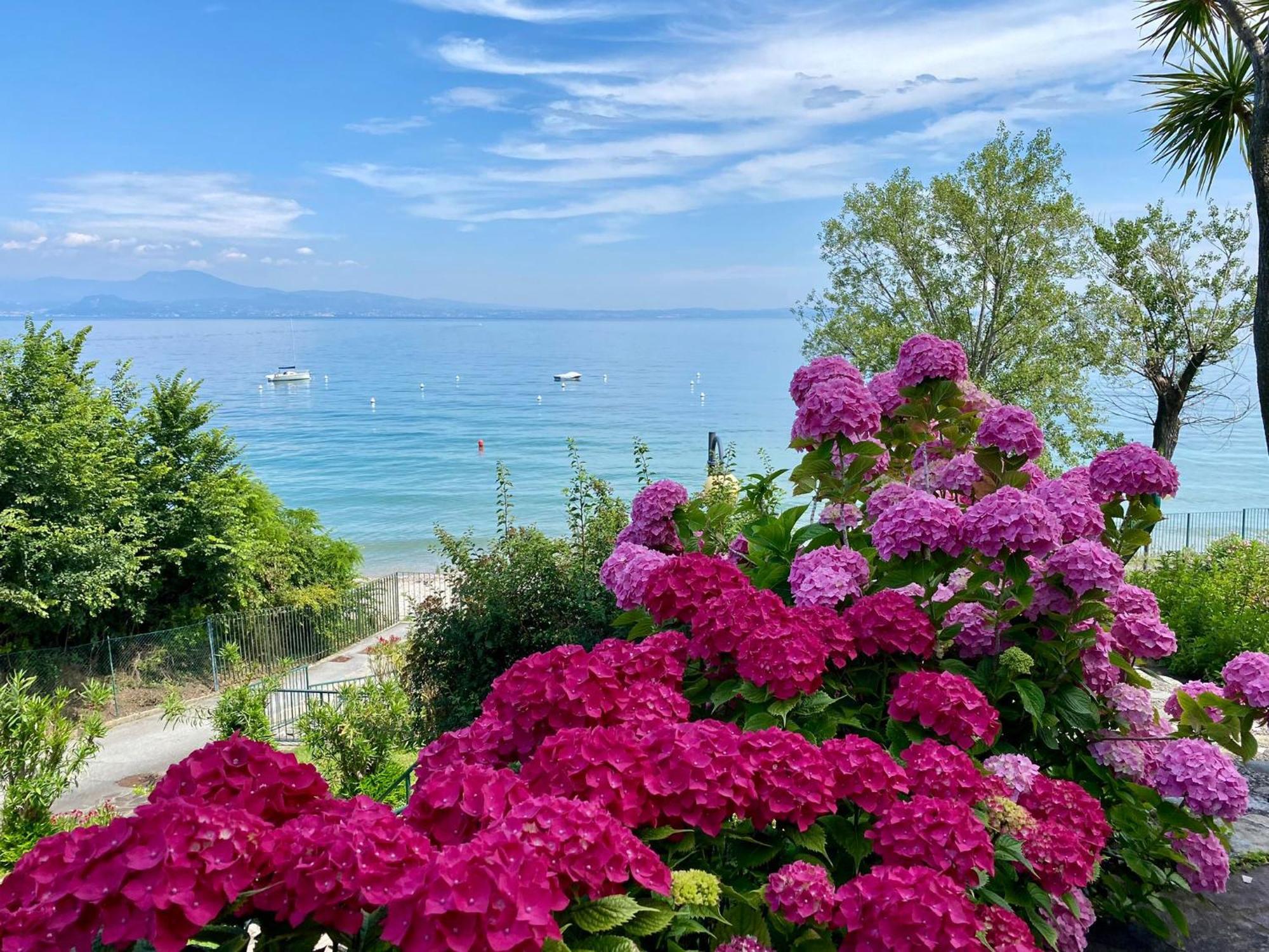 Front Lake Amazing View Manerba del Garda Exterior foto